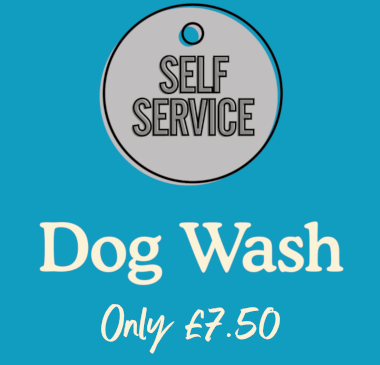 Self Service Dog Wash Dryer At Kennelgate Pet Superstore
