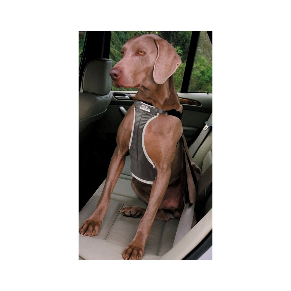 Ancol Adjustable Padded Car Harness For Dogs Kennelgate