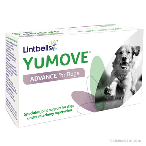 yumove dog 480 tablets