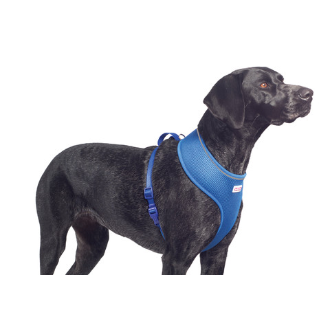 Ancol Comfort Fit Mesh Dog Harness In Blue Medium Kennelgate